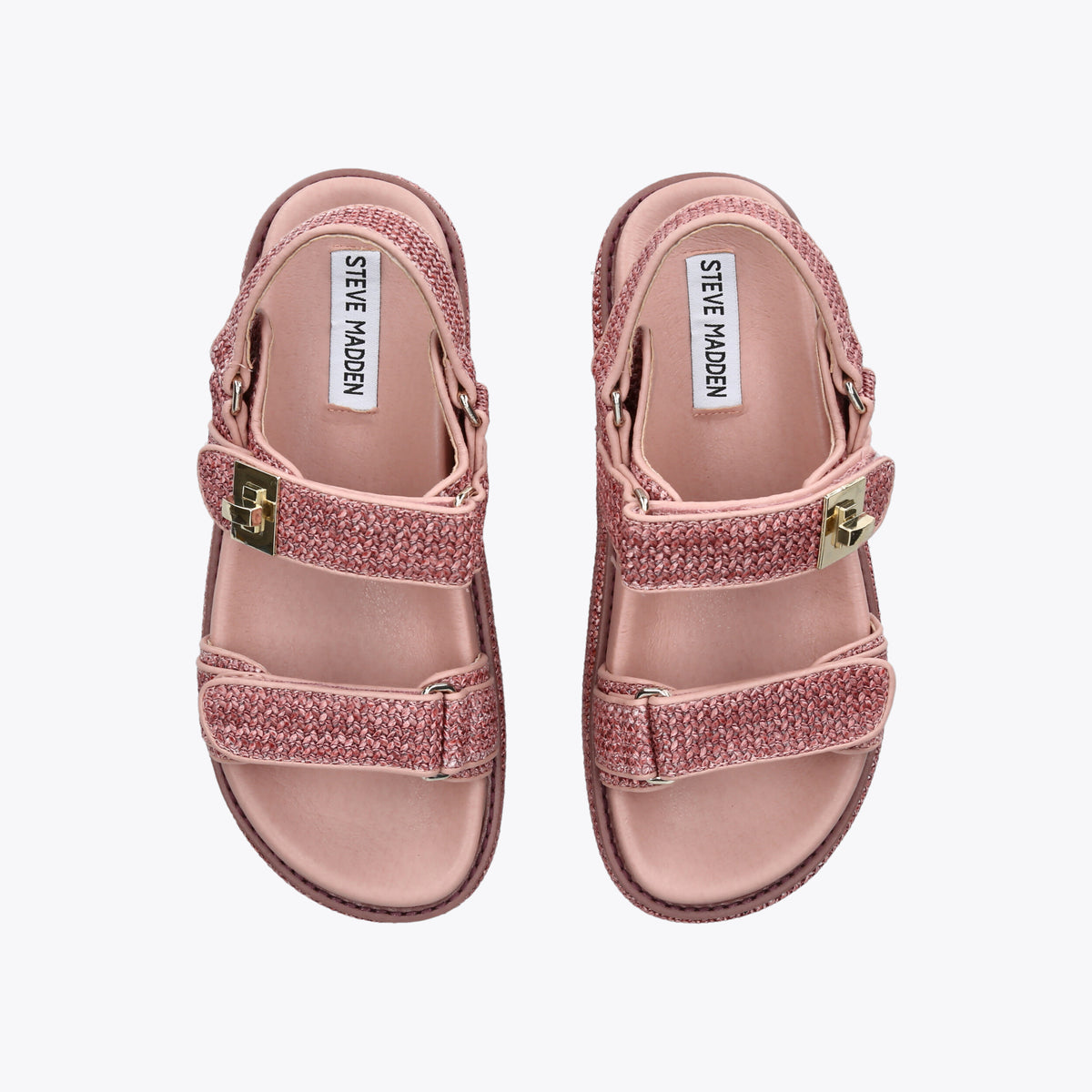 Bigmona Pink