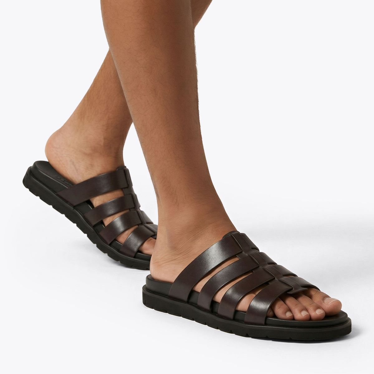 Ankara Dark Brown