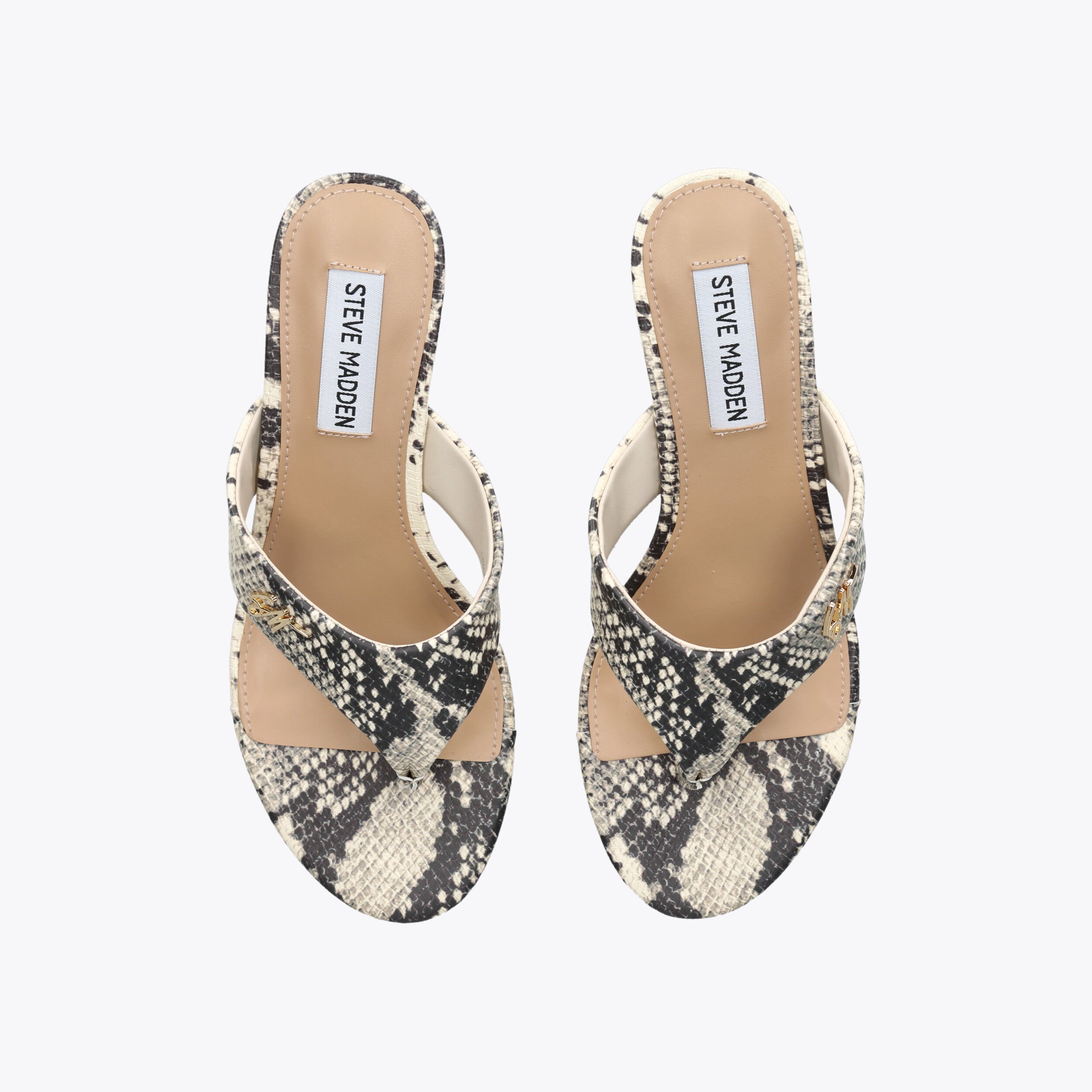 Soundview Snakeprint