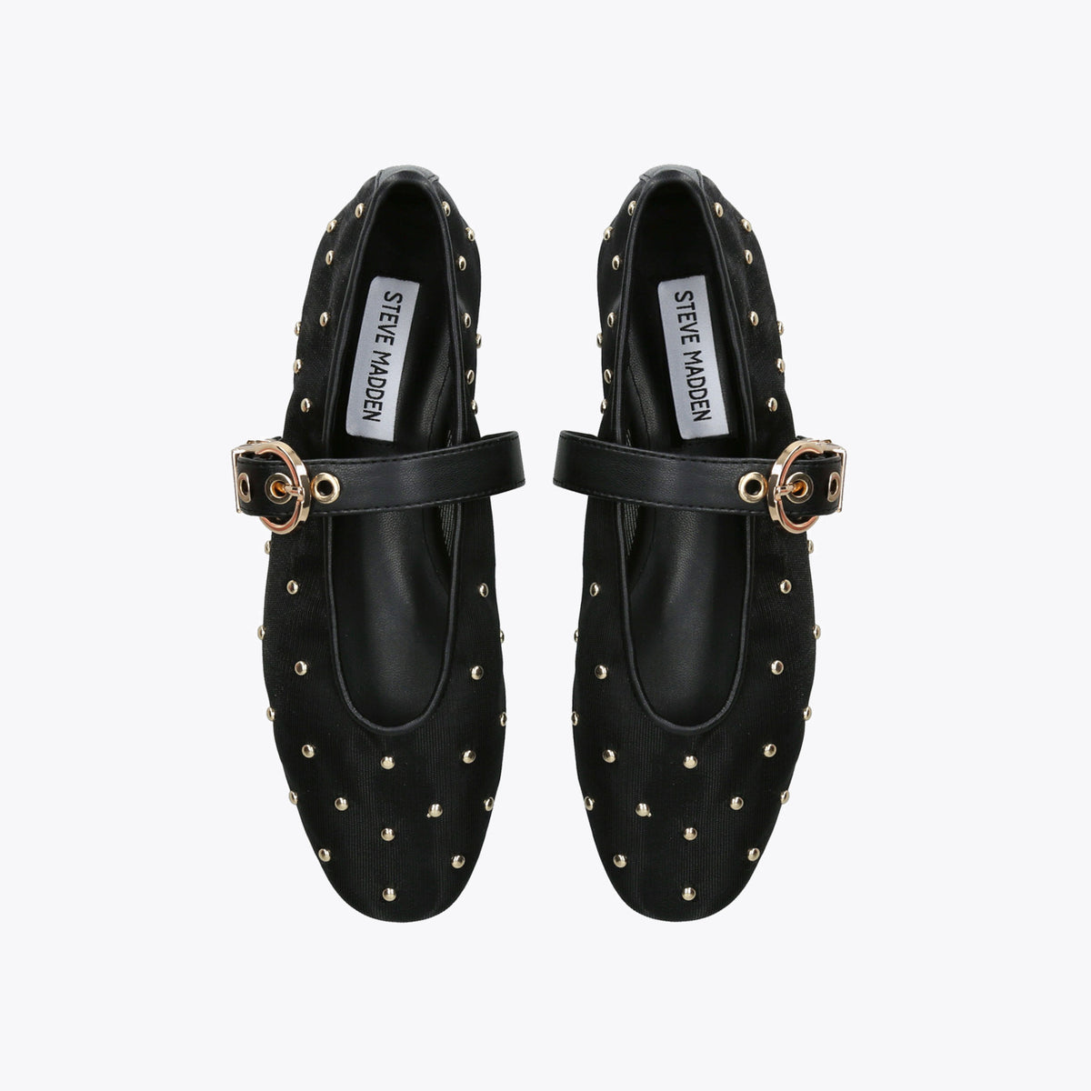 Lucia Black