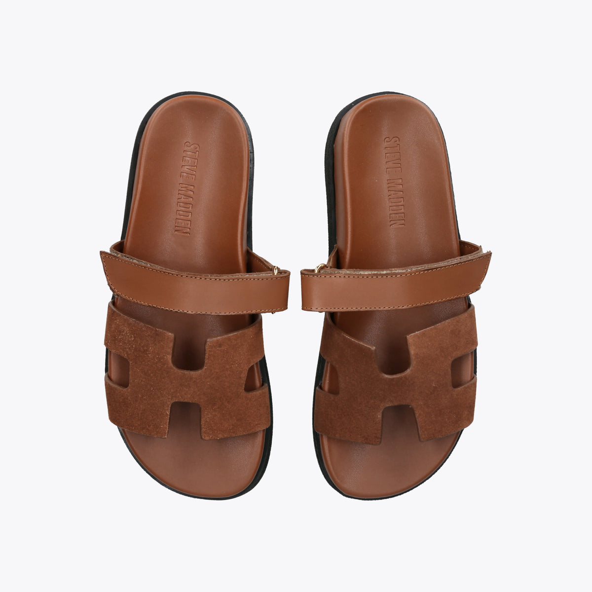 Mayven Camel