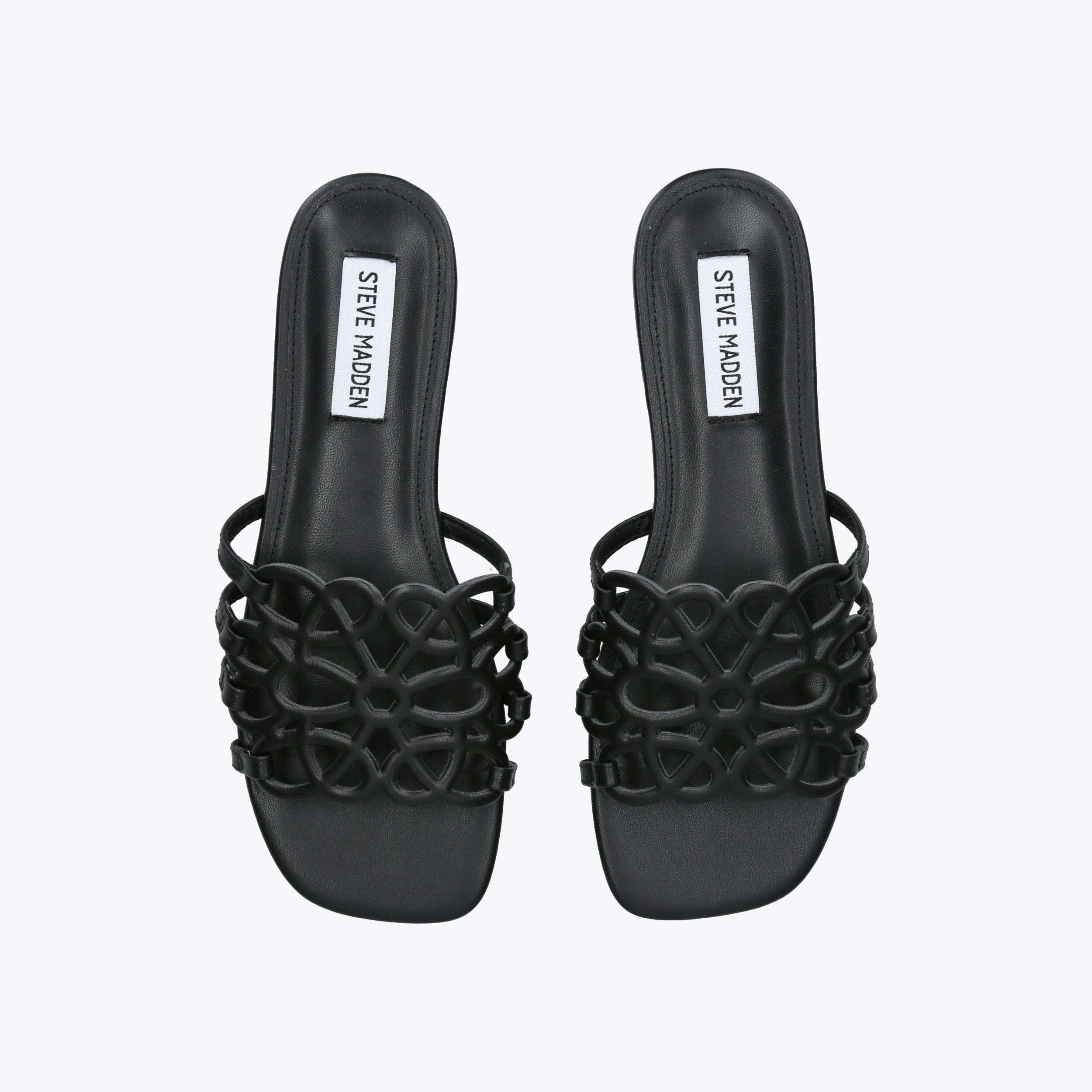 Lotus Black - view 2