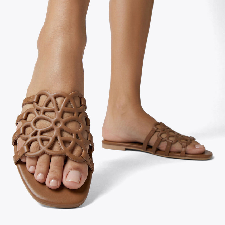 Lotus Tan - view 5