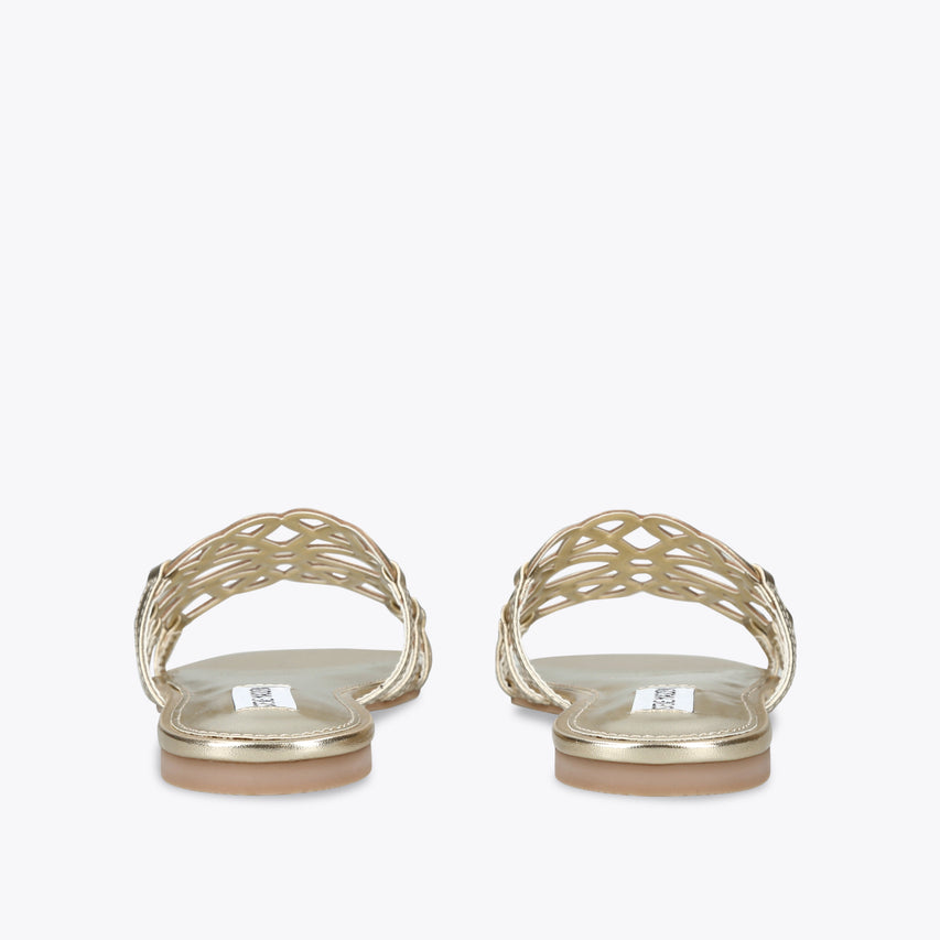 Lotus Gold - view 3