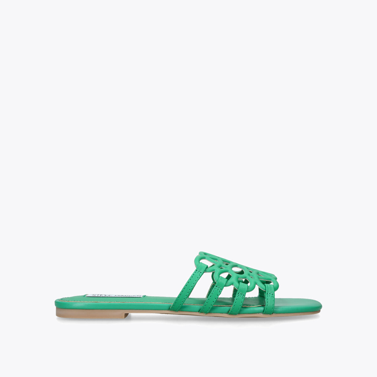Lotus Green