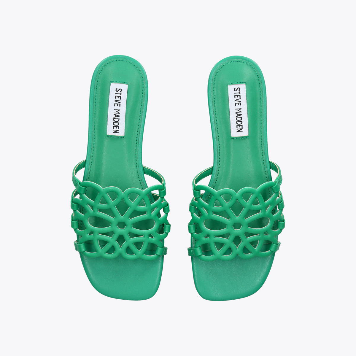 Lotus Green