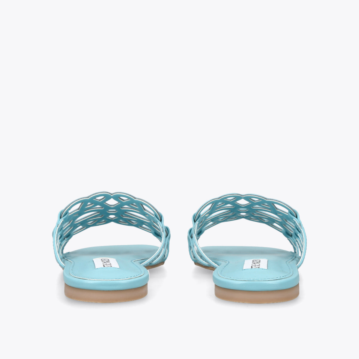 Lotus Blue