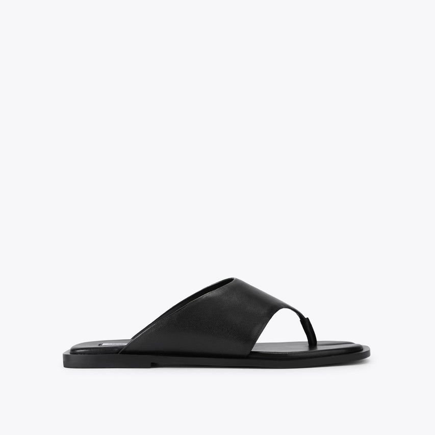 Illia Black