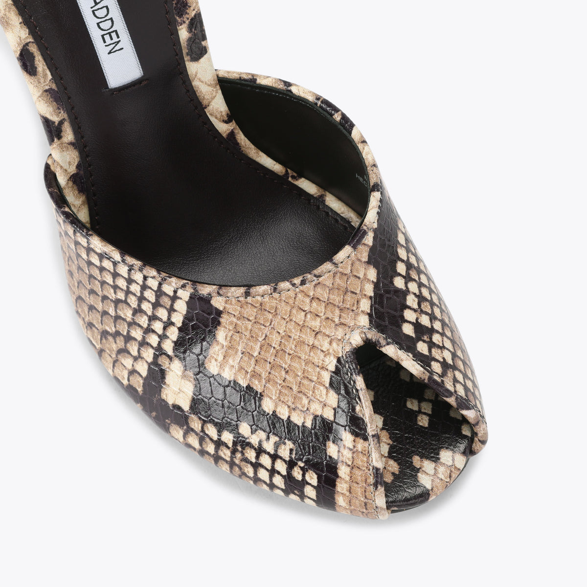 Jaylee Snakeprint
