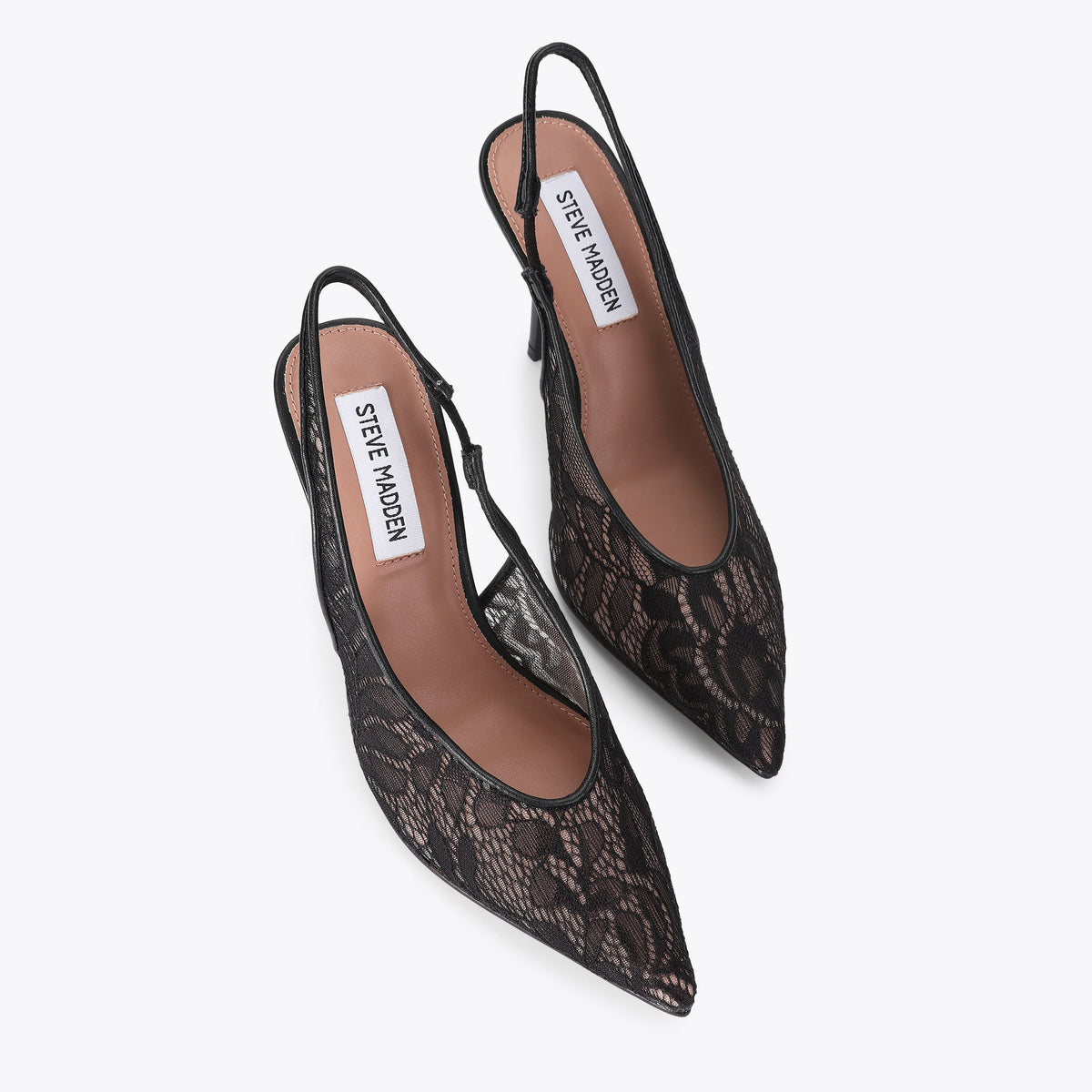 Andromeda Black Lace