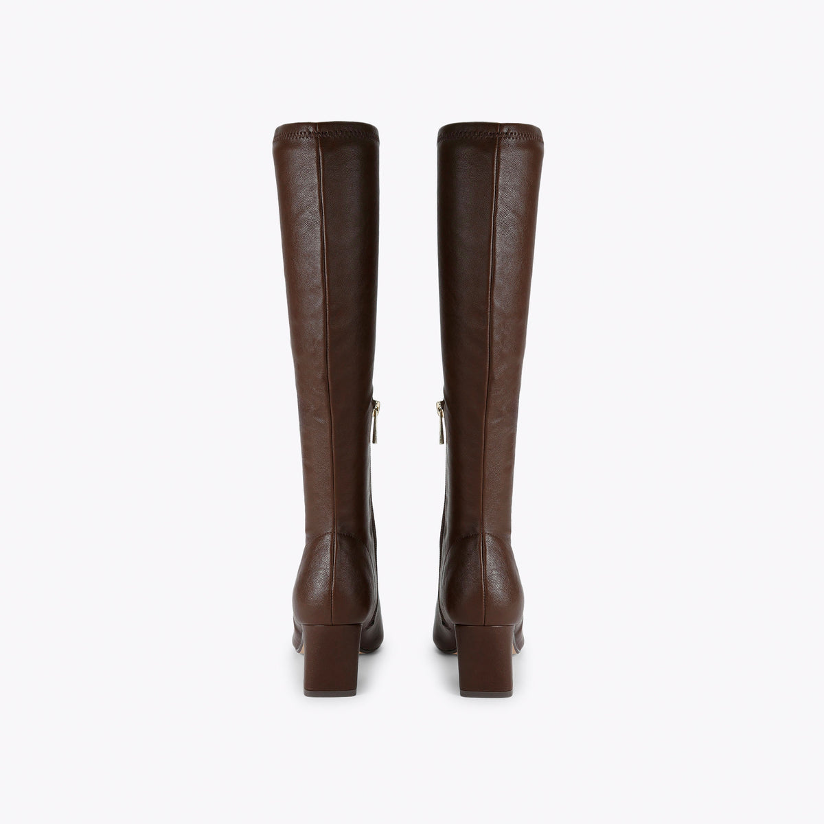 Write-Up Dark Brown