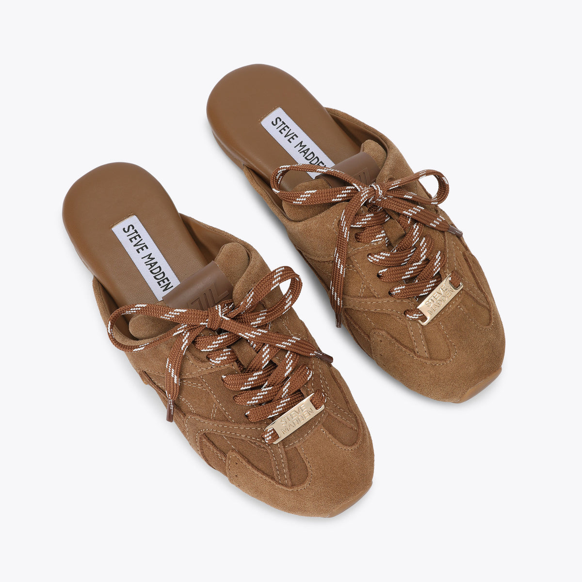 Aziel Mule Camel