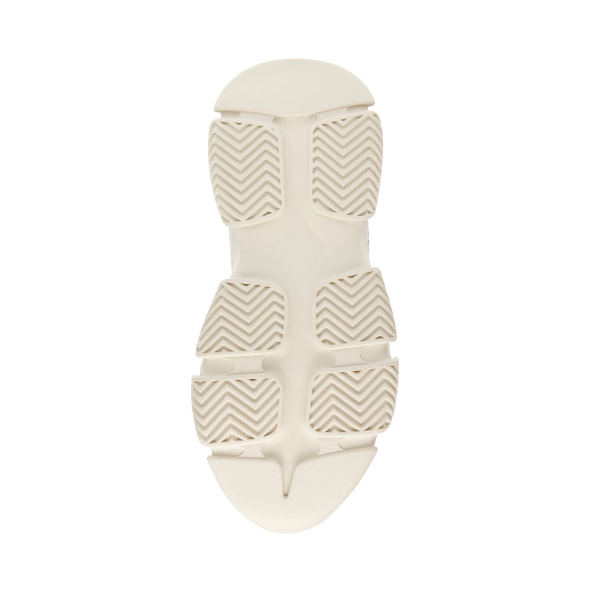Project Trainer BONE