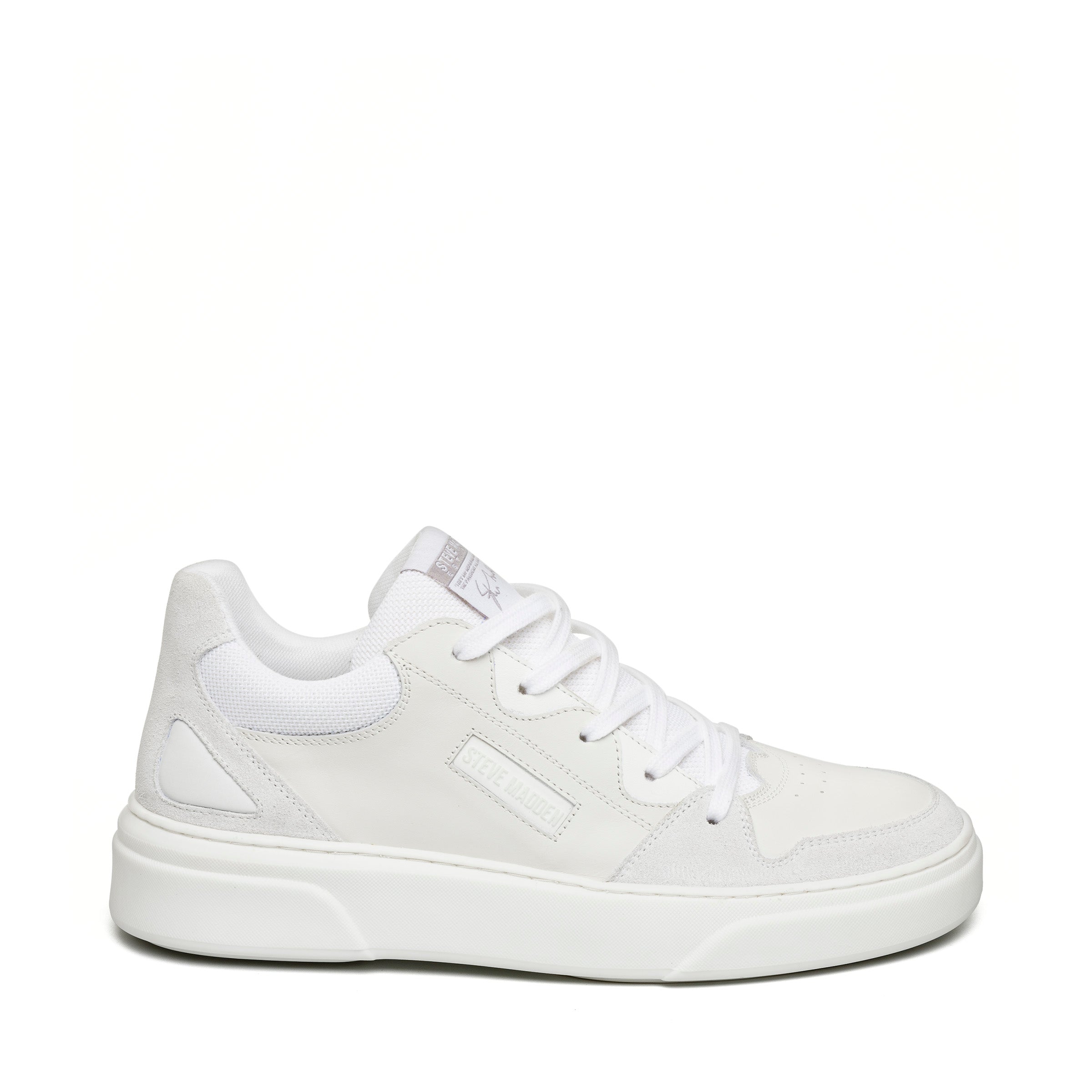 Steve madden white leather sneakers online