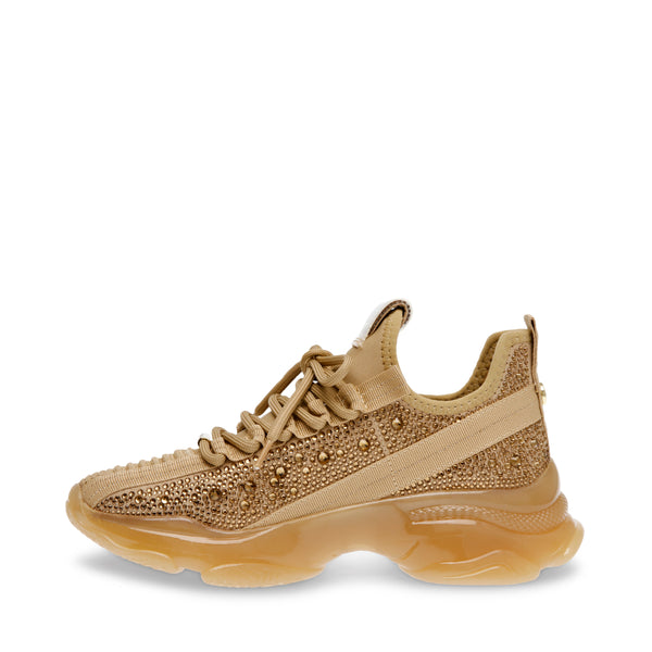 Maxilla-R-E Trainer GOLD