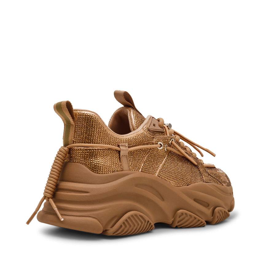 Vault 2R Trainer TAN