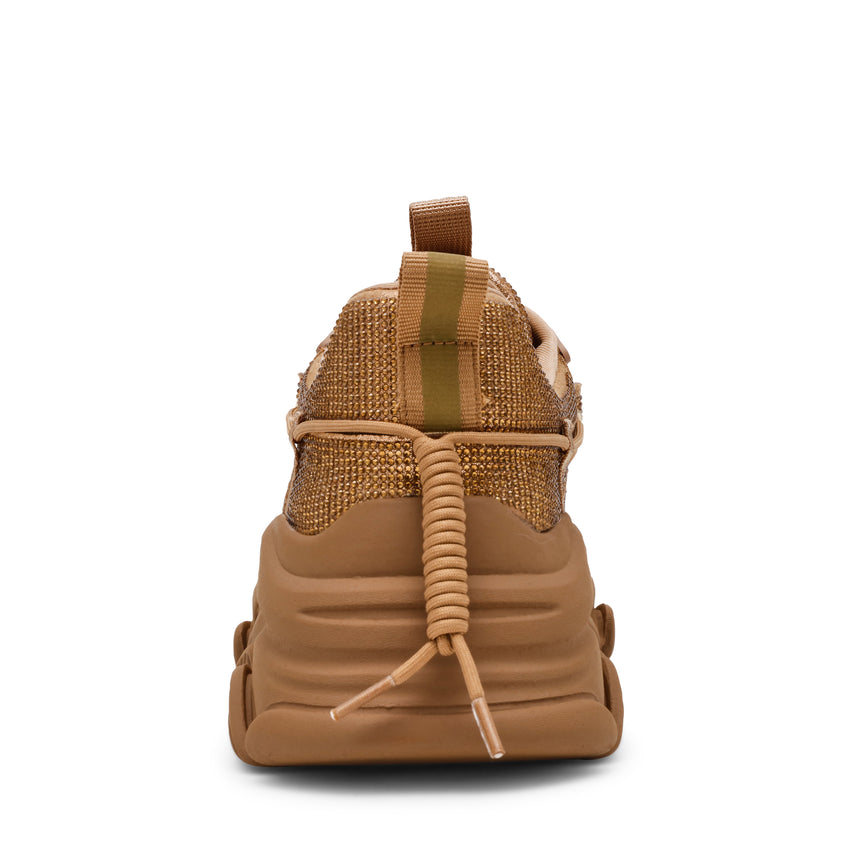 Vault 2R Trainer TAN